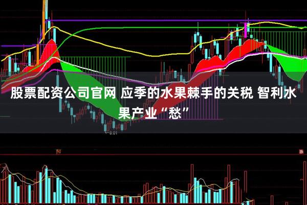 股票配资公司官网 应季的水果棘手的关税 智利水果产业“愁”